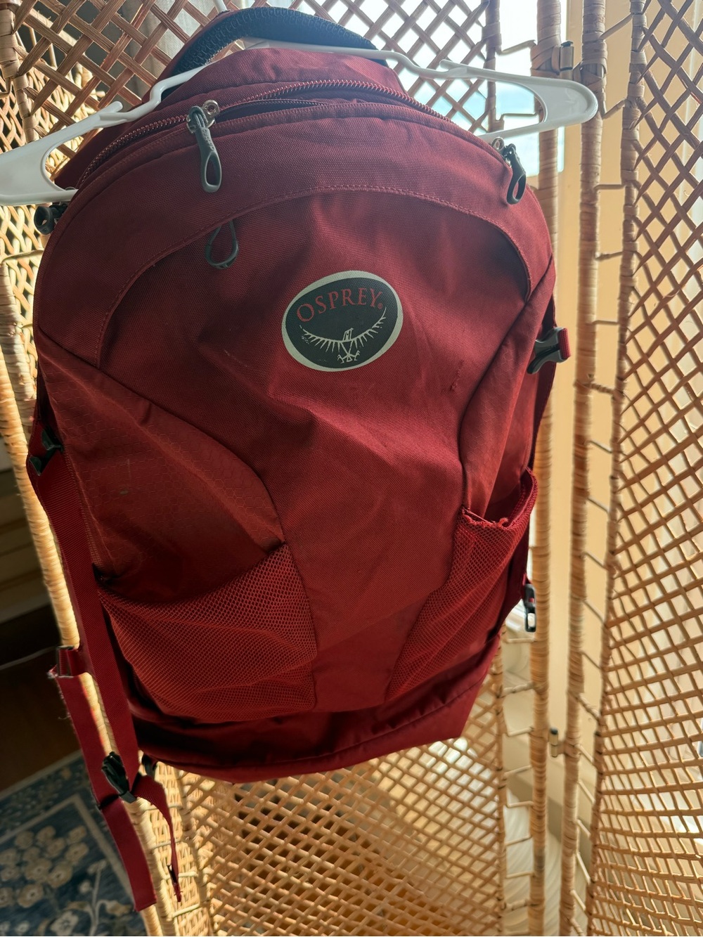 Osprey Men's Red 40L  Backpack
